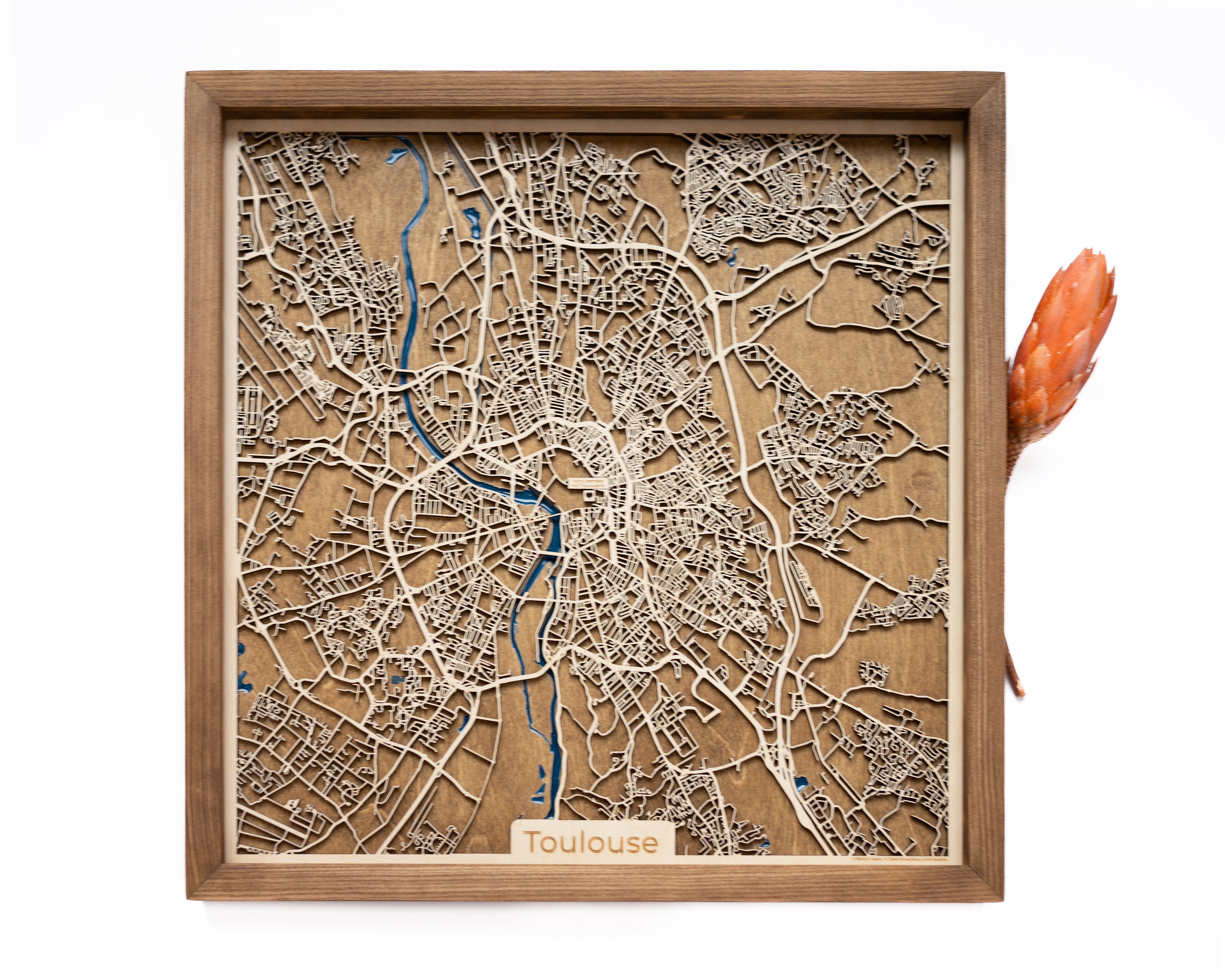 Toulouse Wood Map