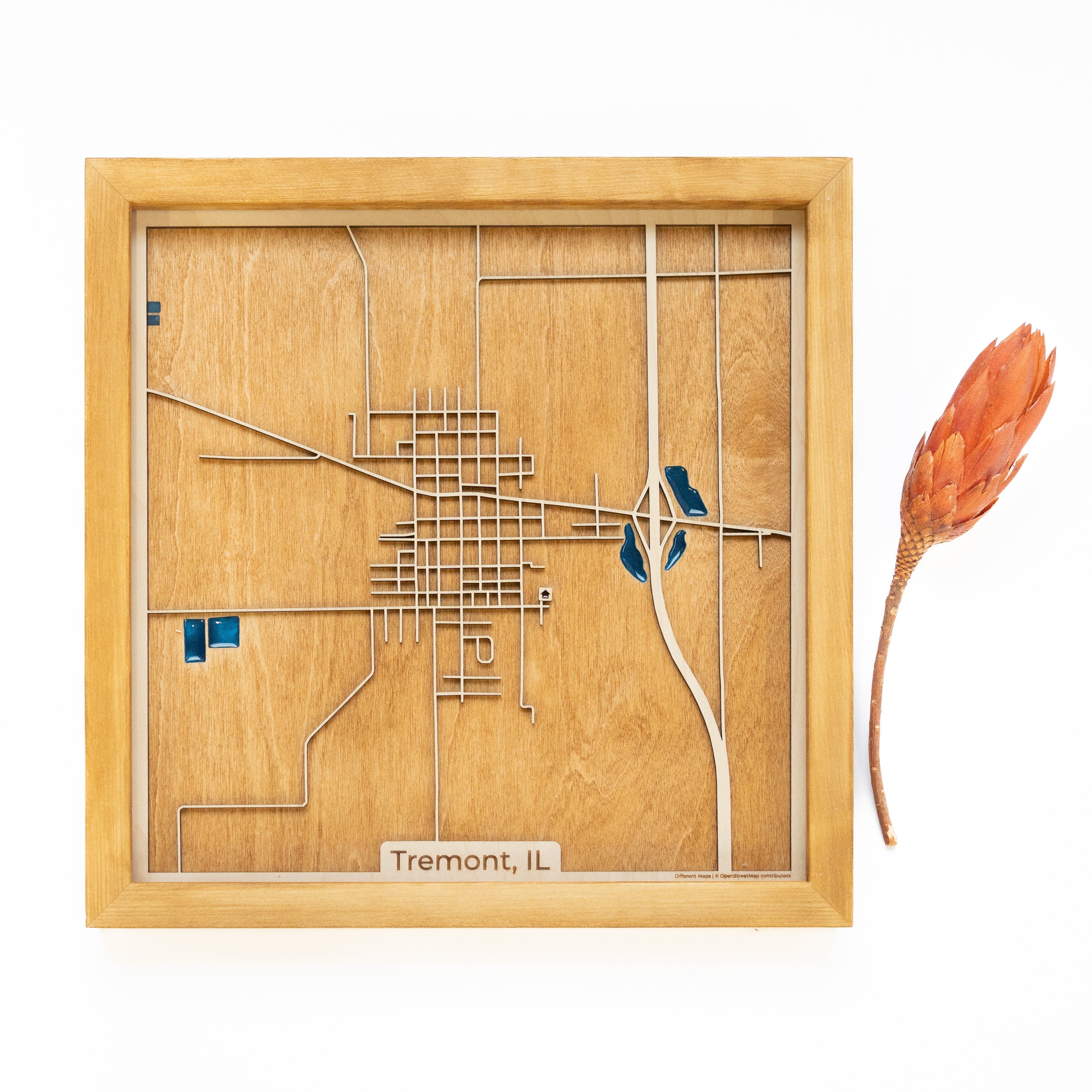 Tremont Wood Map