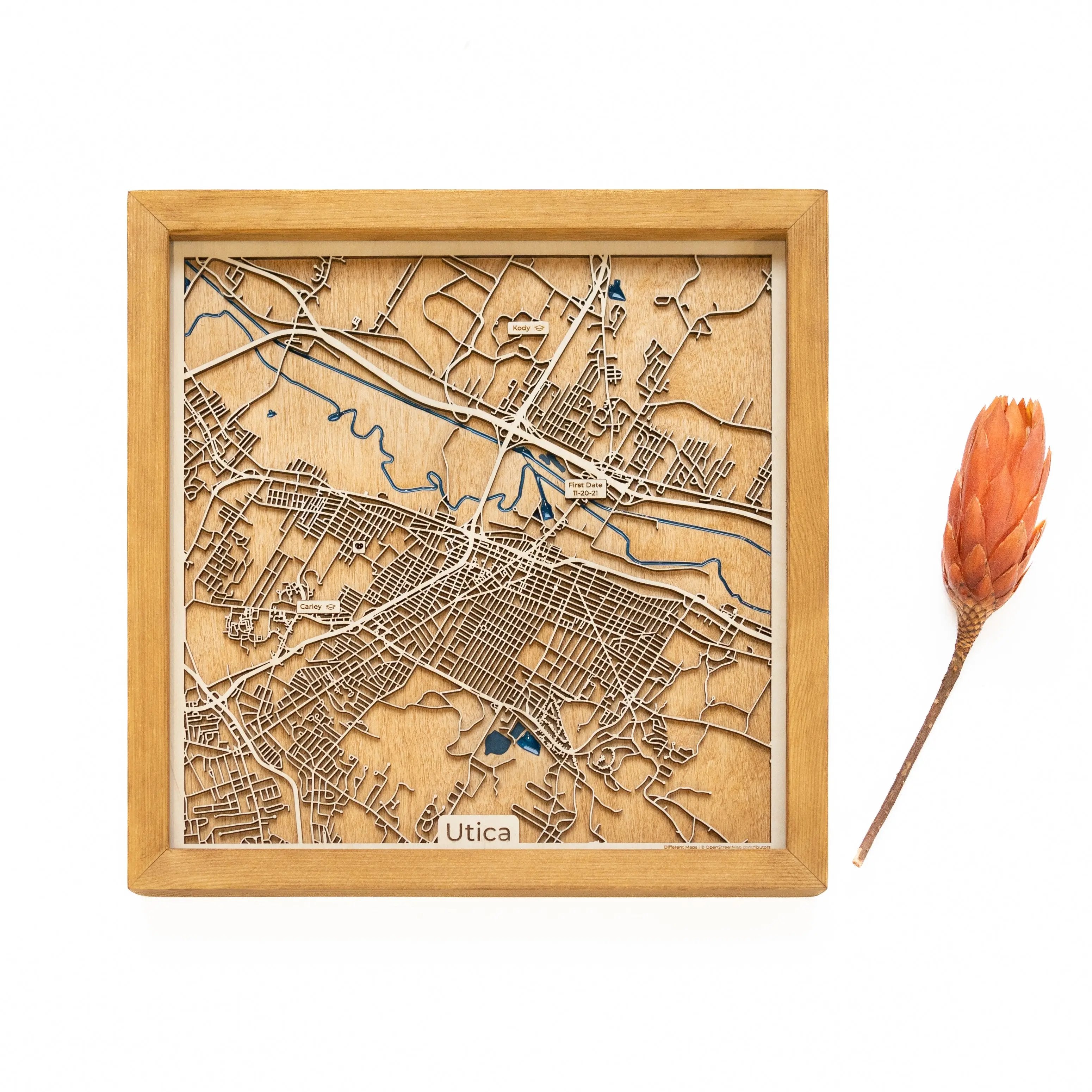 Utica Wood Map