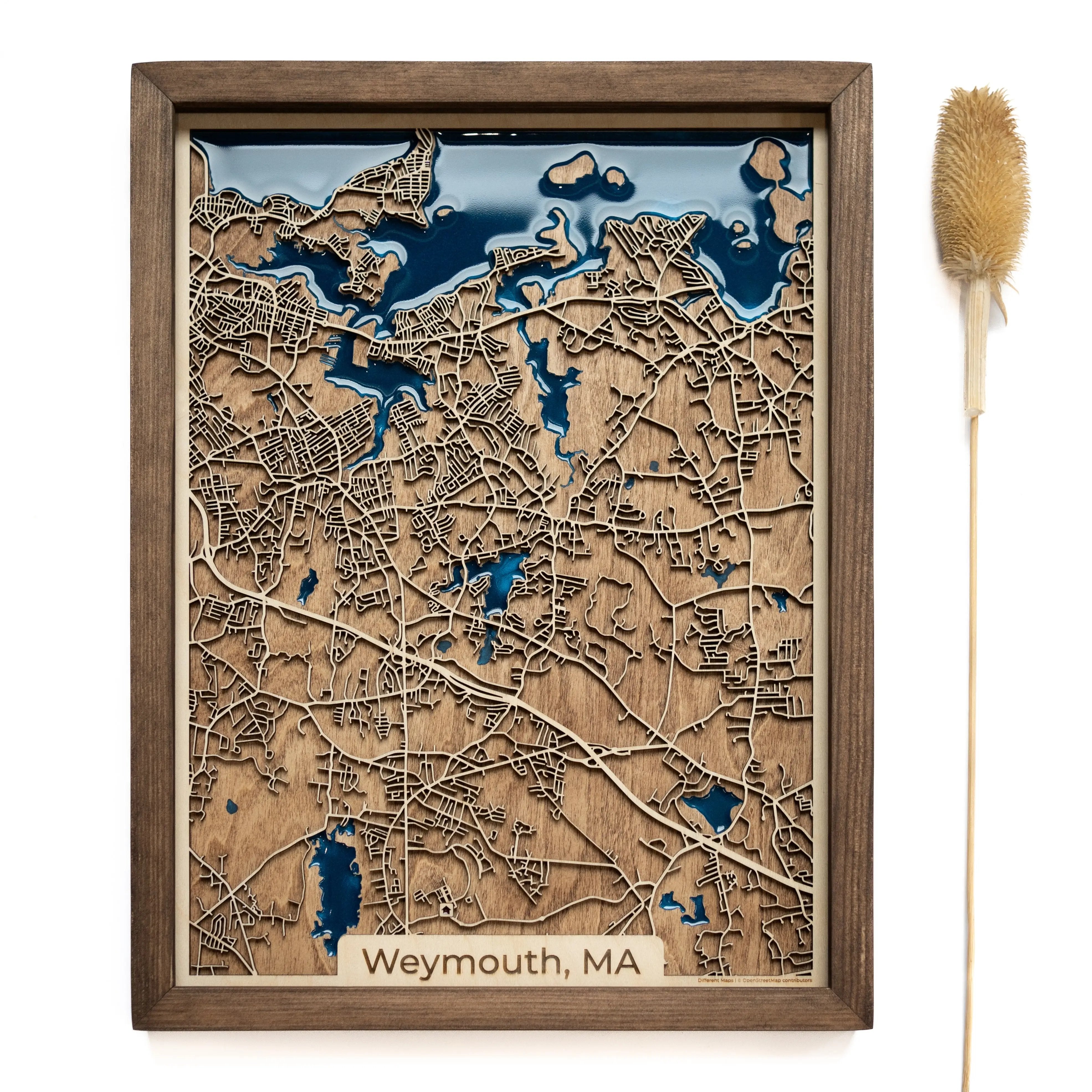 Weymouth Wood Map