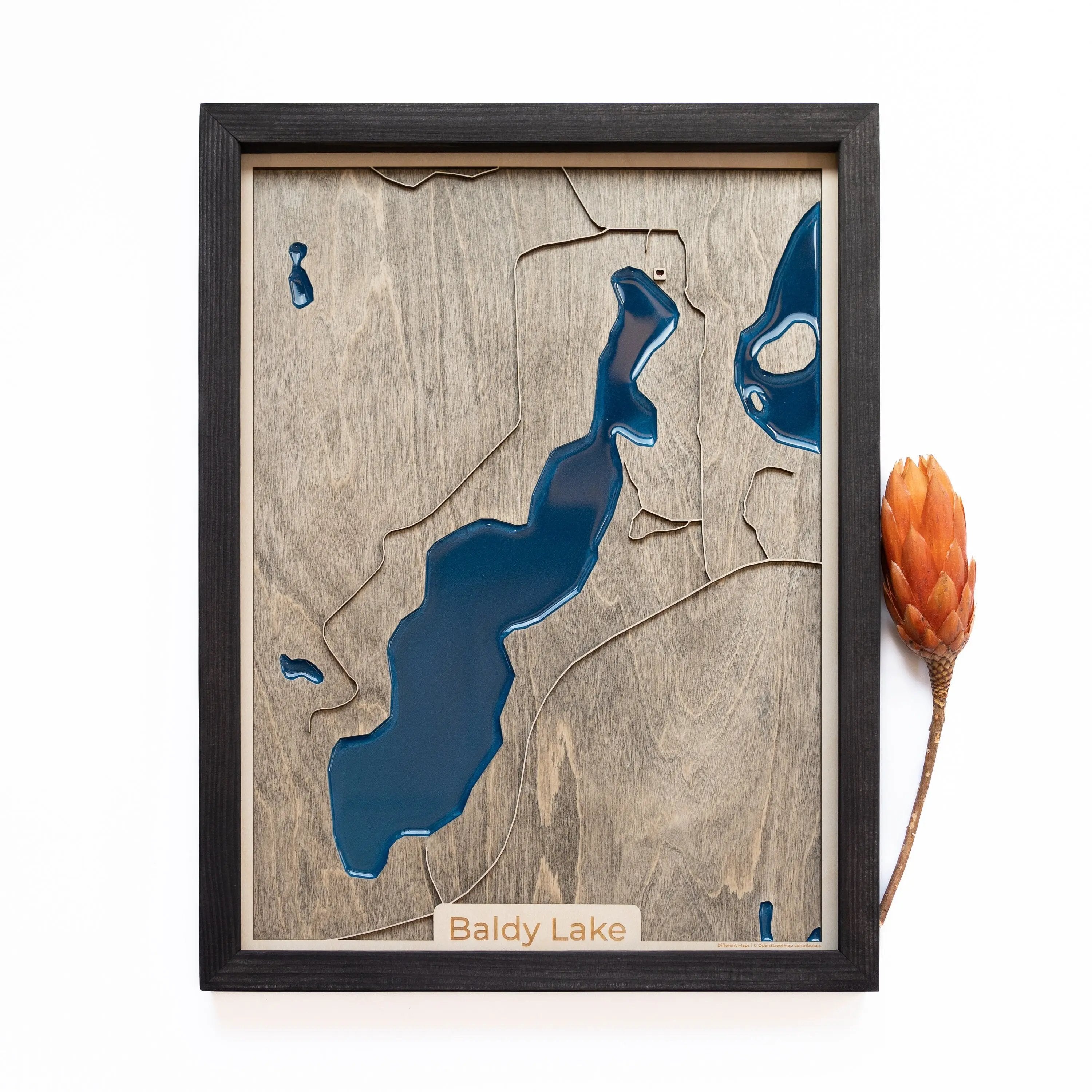 Baldy Lake wood Map