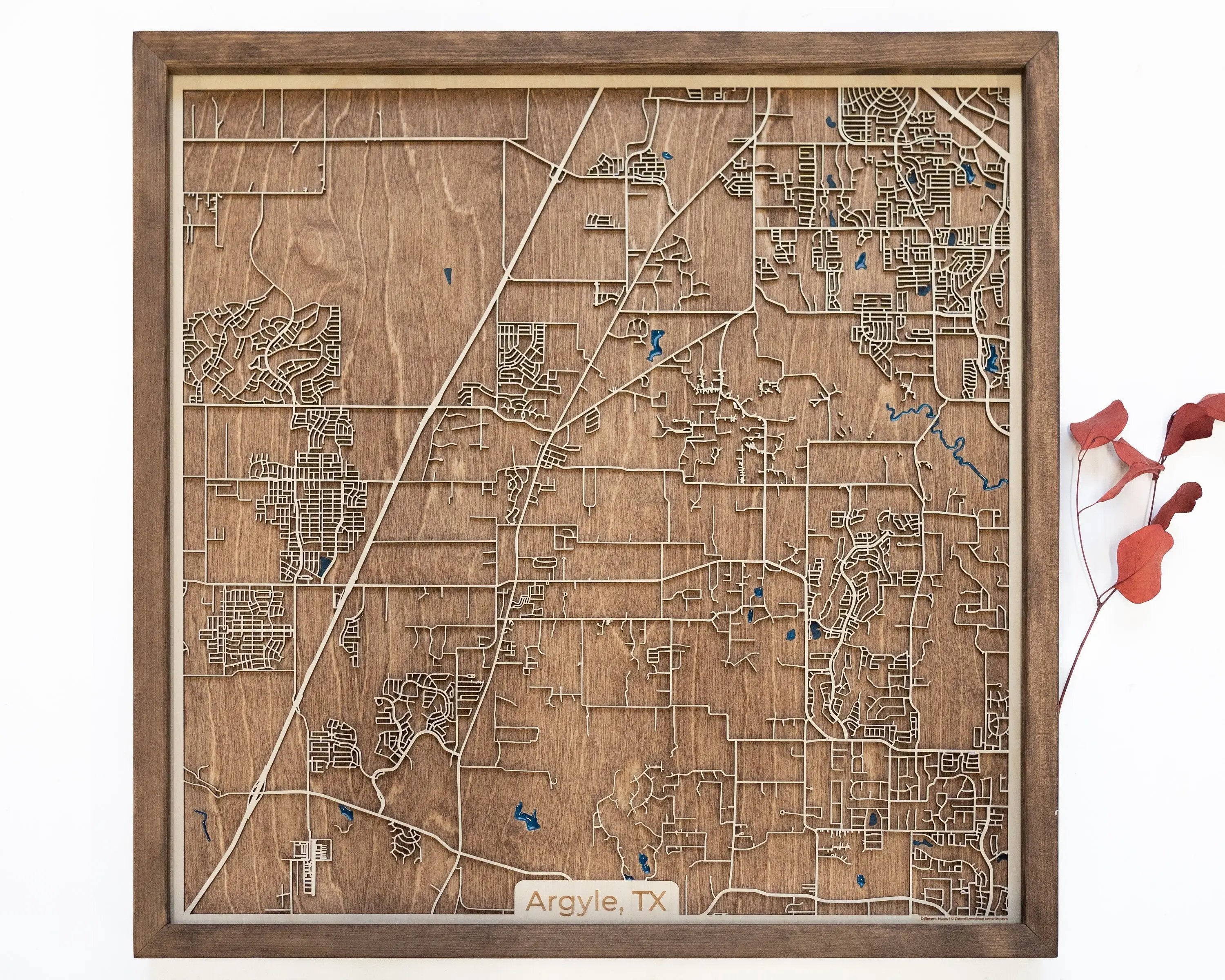 Argyle wood map