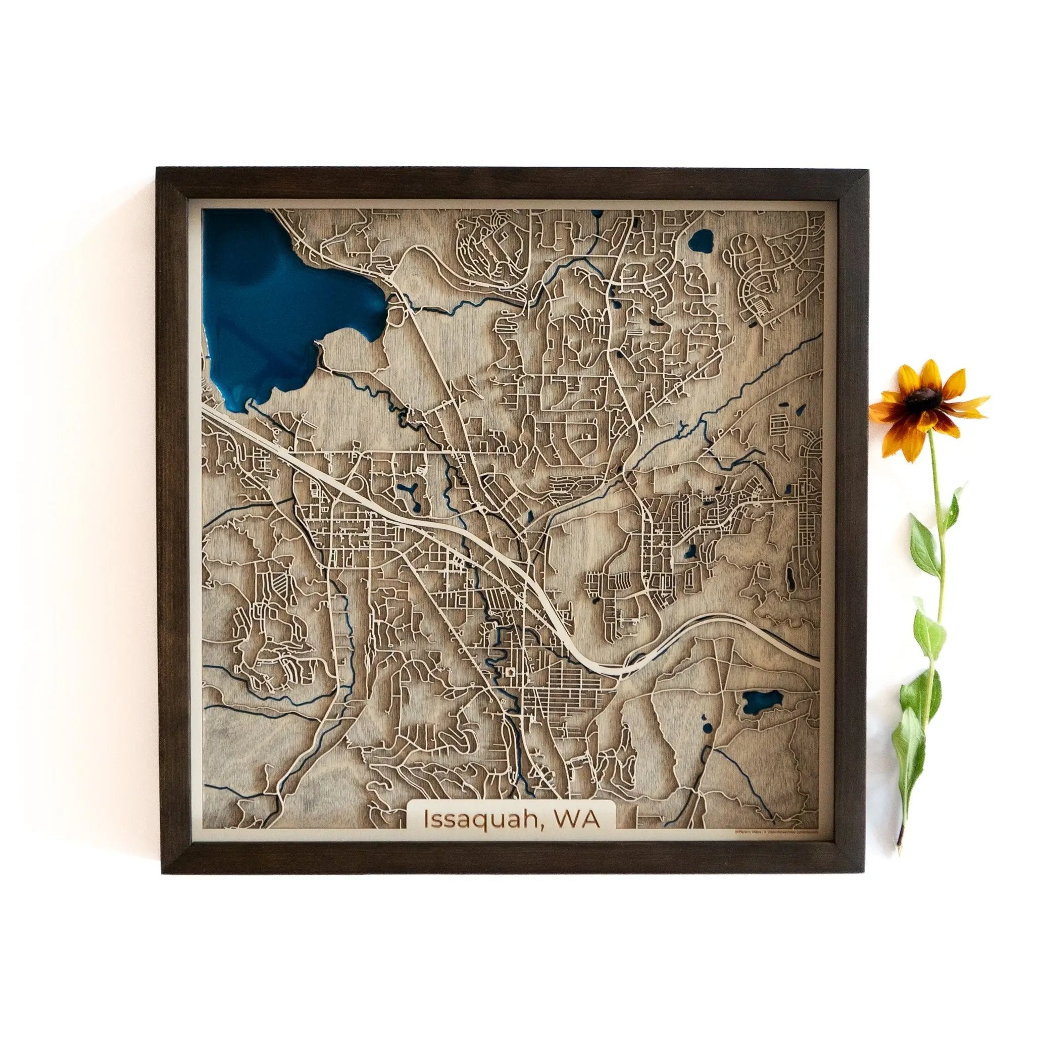 Issaquah Wood Map